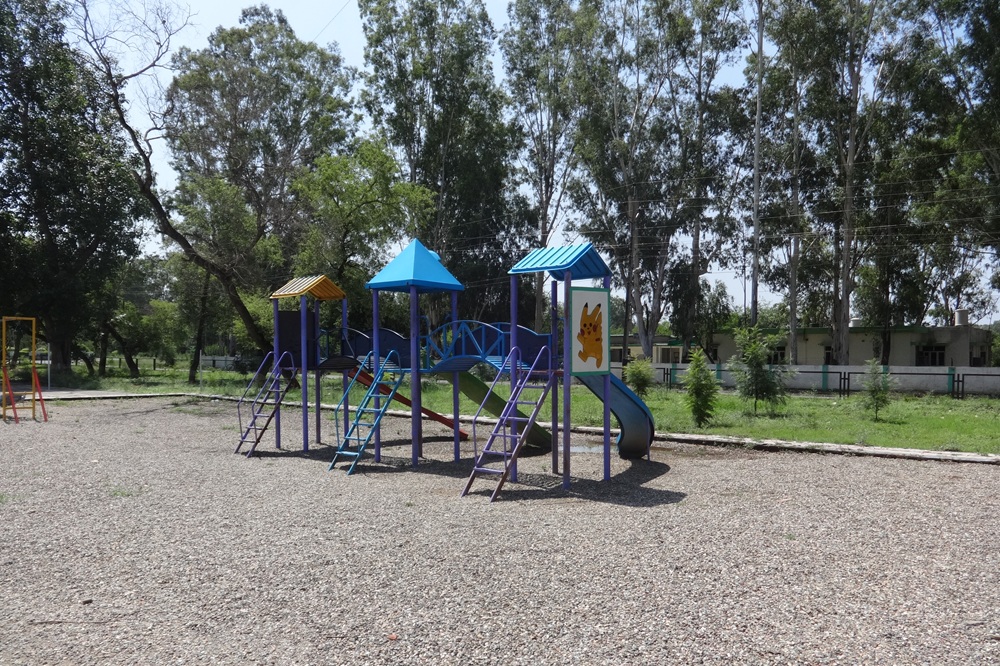 Playground  Image42
